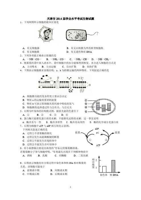 2014年天津市普通高中学业水平考试生物试题(含答案)