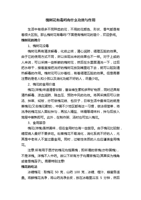 槐树花有毒吗有什么功效与作用