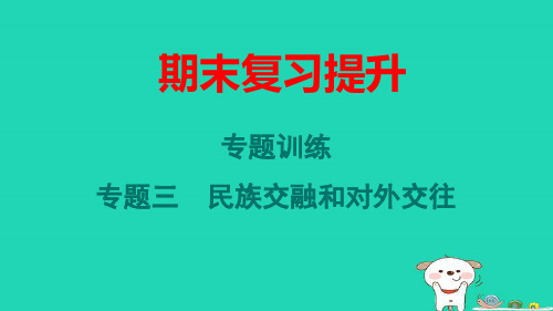 山西省七年级历史下册专题训练三民族交融和对外交往pptx课件人教部编版