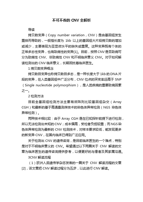 不可不看的CNV全解析