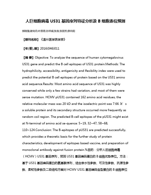 人巨细胞病毒US31基因序列特征分析及B细胞表位预测