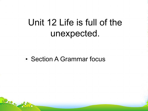 人教英语九年级全册Unit12Section A Grammar focus(共39张PPT)-课件