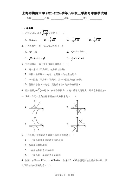 上海市梅陇中学2023-2024学年八年级上学期月考数学试题