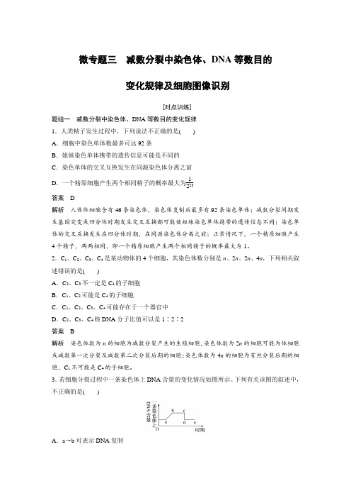 高中生物必修2精品学案：微专题三 减数分裂中染色体、DNA等数目的变化规律及细胞图像识别