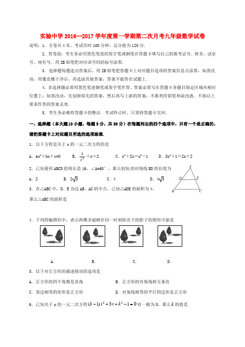 九年级数学11月月考试题