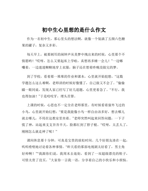 初中生心里想的是什么作文