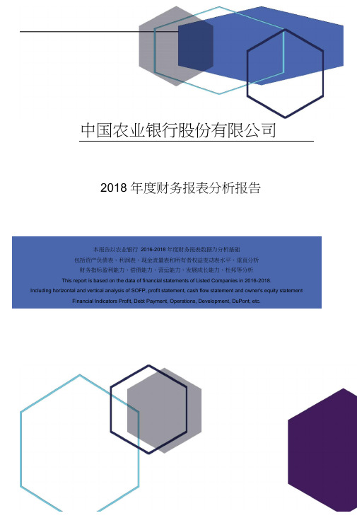 中国农业银行股份有限公司2018年度财务报表分析报告