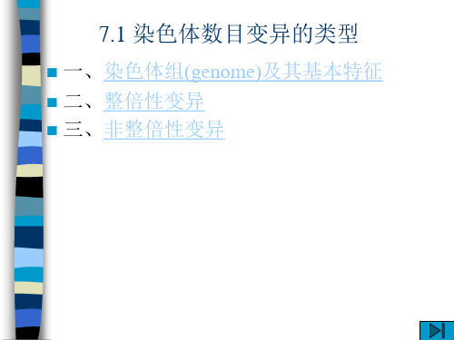 川农大遗传学自学课件第7章