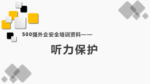 听力保护-500强外企安全培训资料