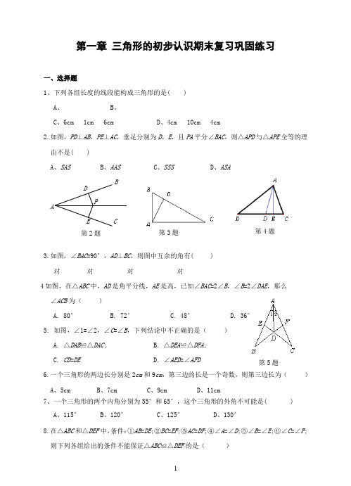 第一章-三角形的初步认识期末复习巩固练习(含答案)