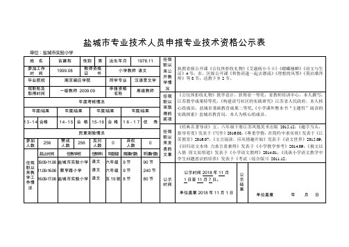 盐城市专业技术人员申报专业技术资格公示表