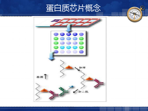 生物芯片技术-第五章 微流控1-2014