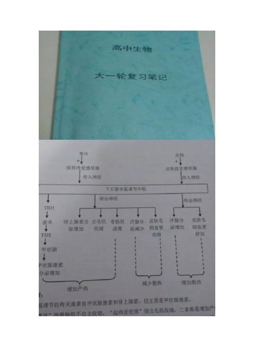 高中生物必修1,必修2,必修3知识点总结,梳理