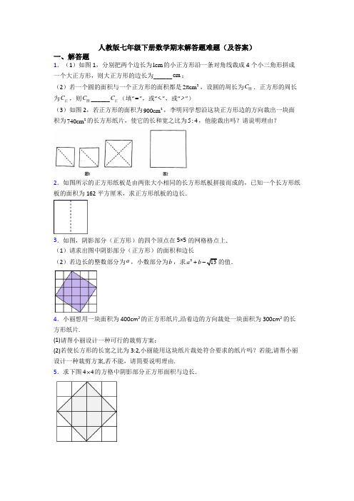 人教版七年级下册数学期末解答题难题(及答案)