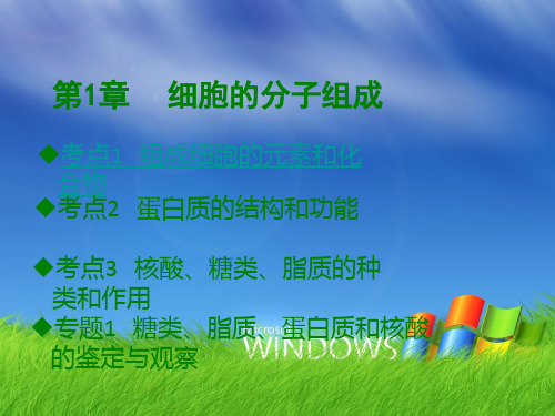 2020年(新高考)生物大复习课件 第1章 细胞的分子组成