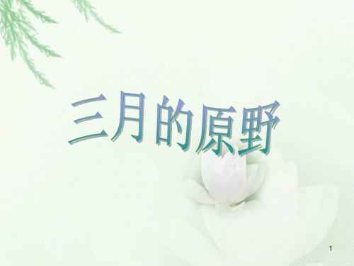 三月的原野ppt课件