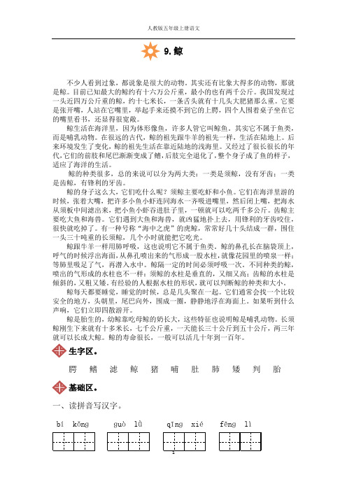 人教版五年级上册语文9.鲸同步练习(附答案)