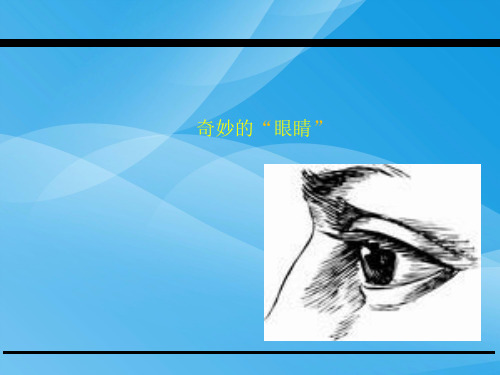 2017一下奇妙的“眼睛”(教科版)语文课件PPT
