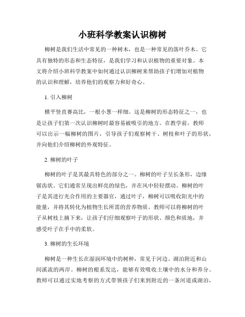 小班科学教案认识柳树