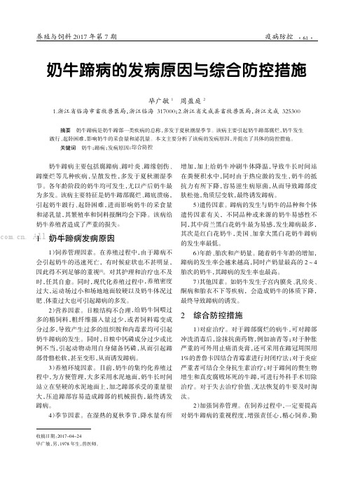 奶牛蹄病的发病原因与综合防控措施