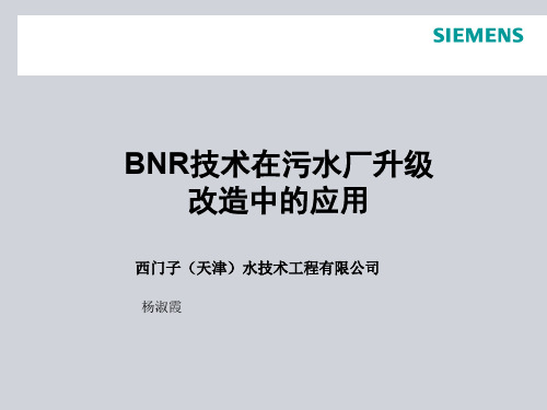 BNR工艺简介