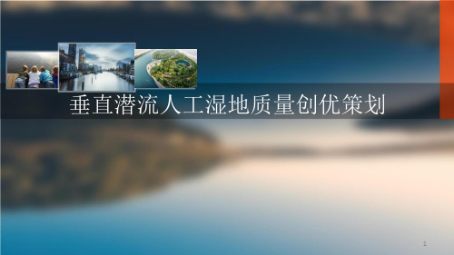 垂直潜流人工湿地质量创优策划