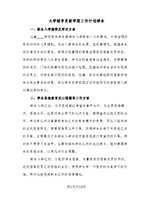 大学辅导员新学期工作计划样本（五篇）