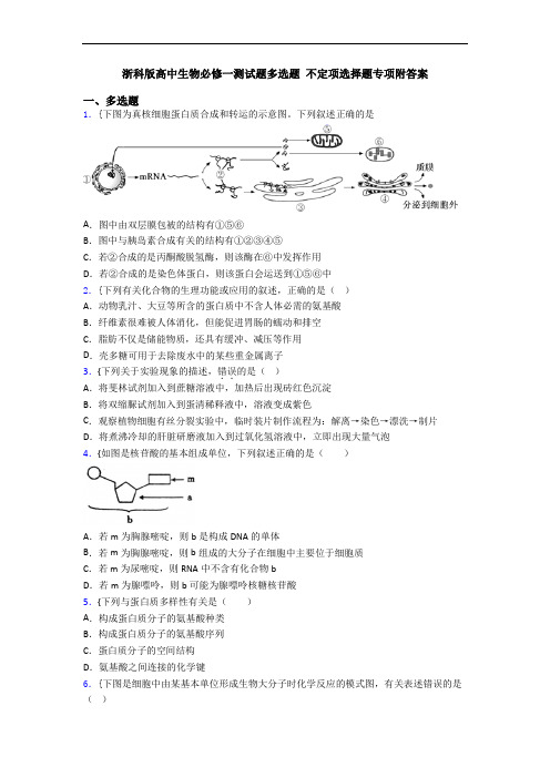 浙科版高中生物必修一测试题多选题 不定项选择题专项附答案