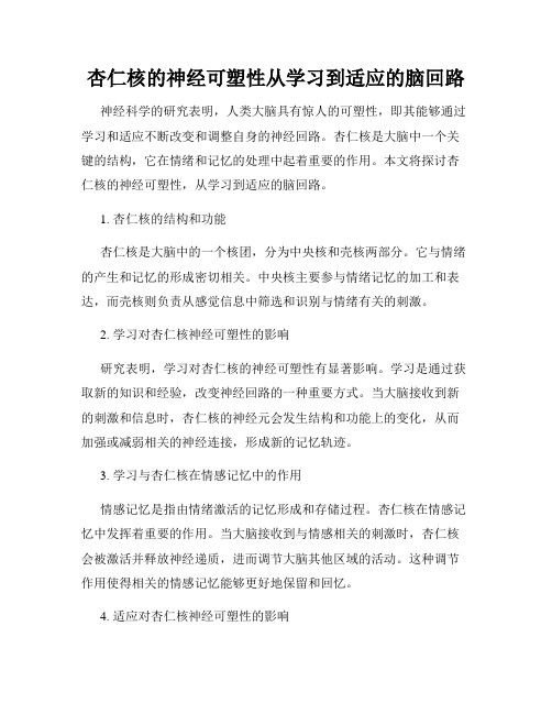 杏仁核的神经可塑性从学习到适应的脑回路