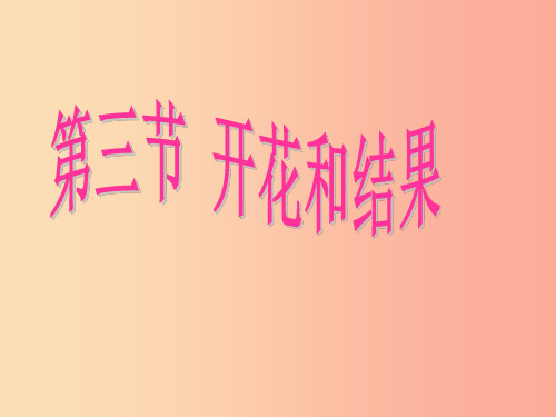 陕西省七年级生物上册 3.2.3 开花和结果课件  新人教版PPT