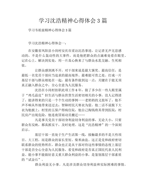 学习沈浩精神心得体会3篇