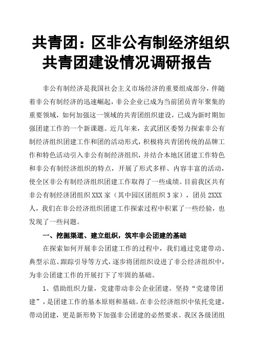 共青团：区非公有制经济组织共青团建设情况调研报告