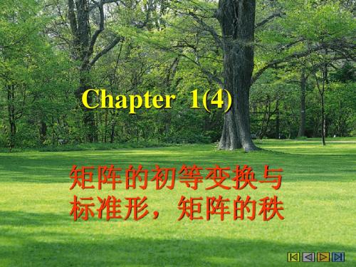 线性代数2chapter2(1-4)矩阵的初等变换与标准形,矩阵的秩