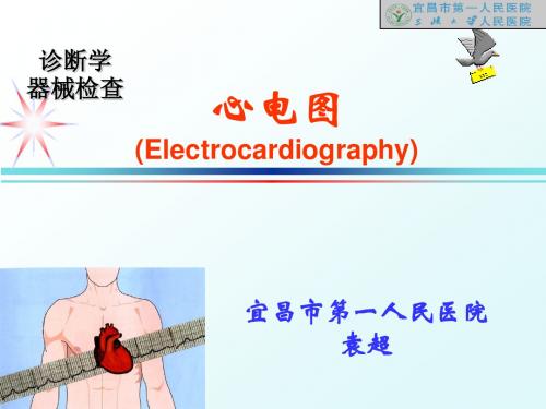 心电图讲义4