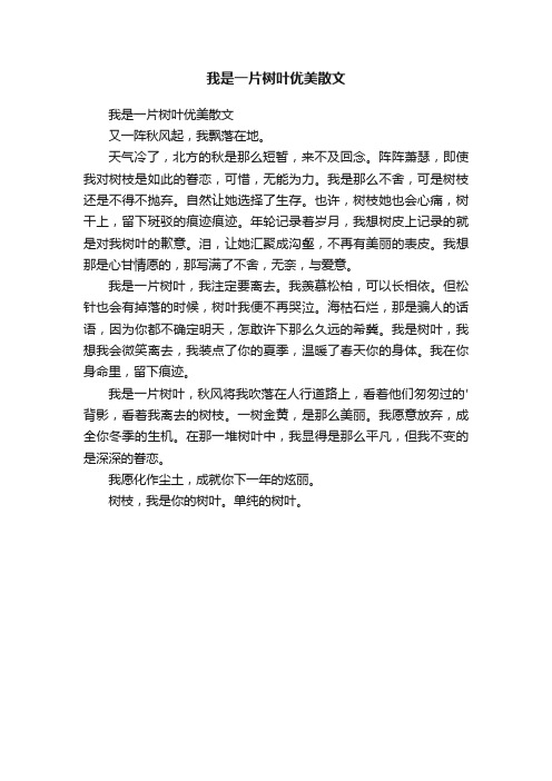 我是一片树叶优美散文