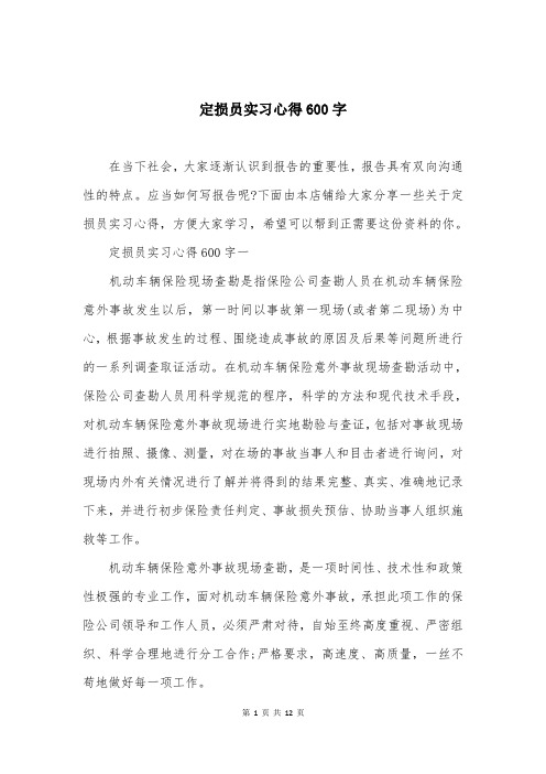 定损员实习心得600字