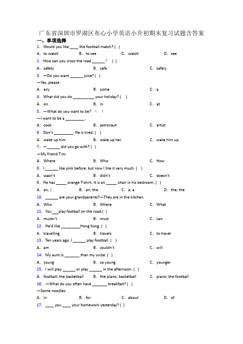 广东省深圳市罗湖区布心小学英语小升初期末复习试题含答案
