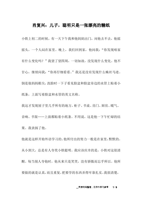 肖复兴：儿子,聪明只是一张漂亮的糖纸_成长故事