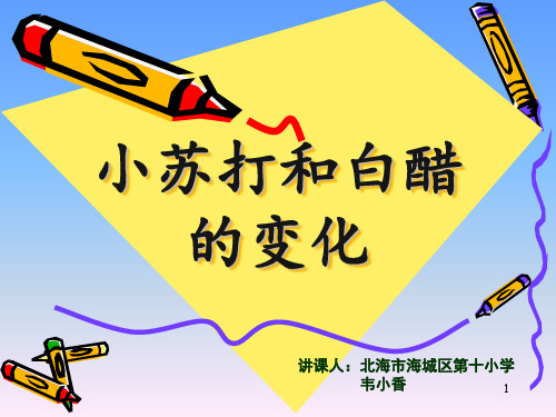 公开课-小苏打和白醋的变化课件