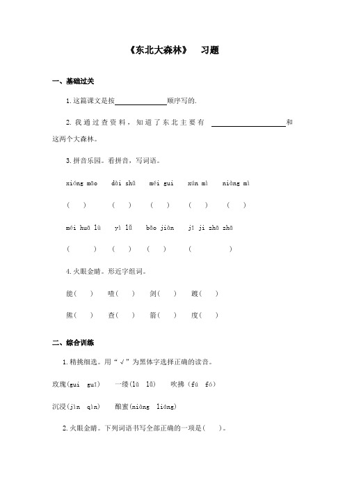 最新冀教版小学语文四年级下册东北大森林精品习题2