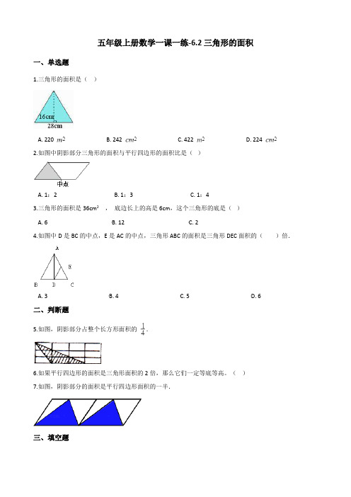 五年级上册数学一课一练6.2三角形的面积 人教新版(含答案)