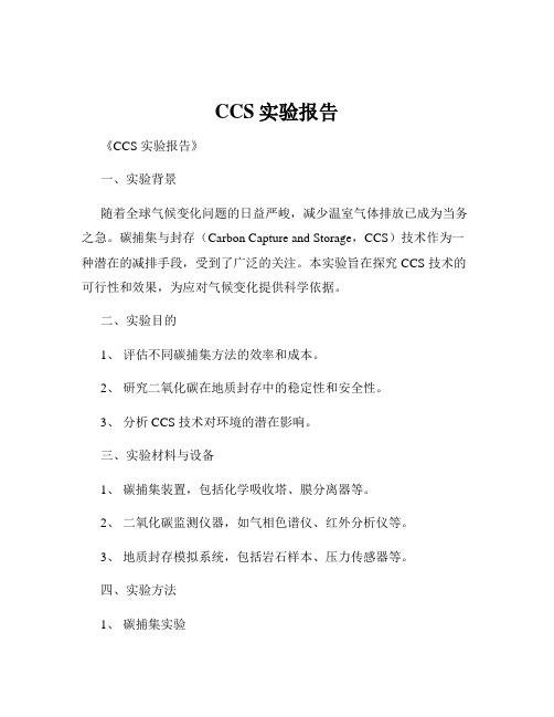 CCS实验报告