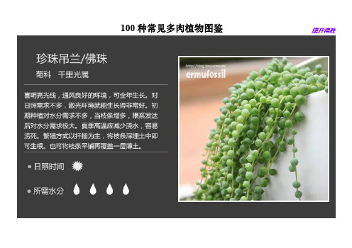 100种常见多肉植物图鉴(全)