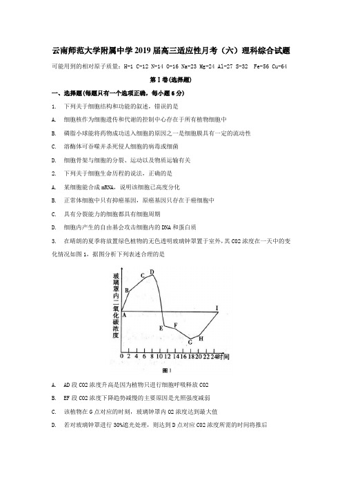 云南师范大学附属中学2019届高三适应性月考(六)理科综合试题(Word版)