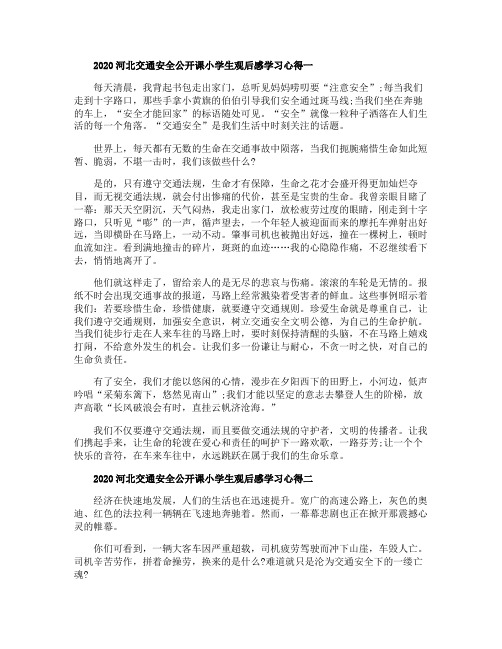 2020河北交通安全公开课小学生观后感学习心得