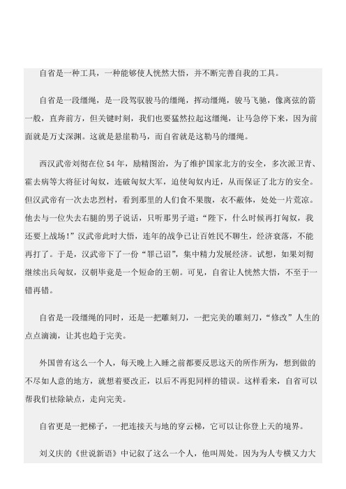 (高中议论文)关于自省的作文