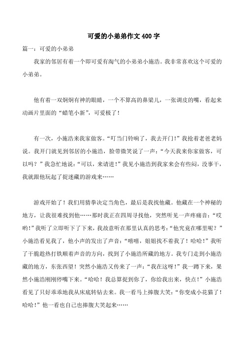  可爱的小弟弟作文400字