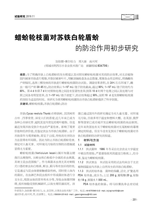 蜡蚧轮枝菌对苏铁白轮盾蚧的防治作用初步研究