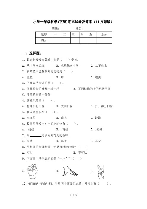 小学一年级科学(下册)期末试卷及答案(A4打印版)