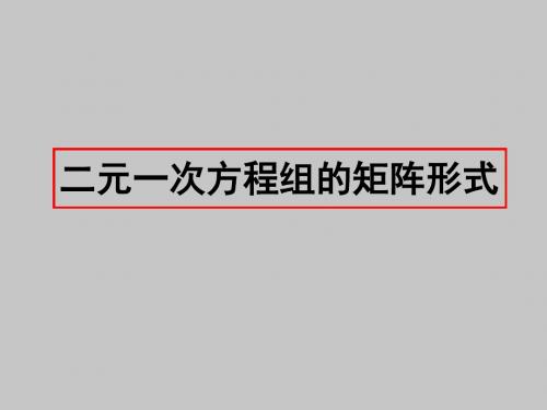 人教版A版高中数学选修4-2二元一次方程组的矩阵形式